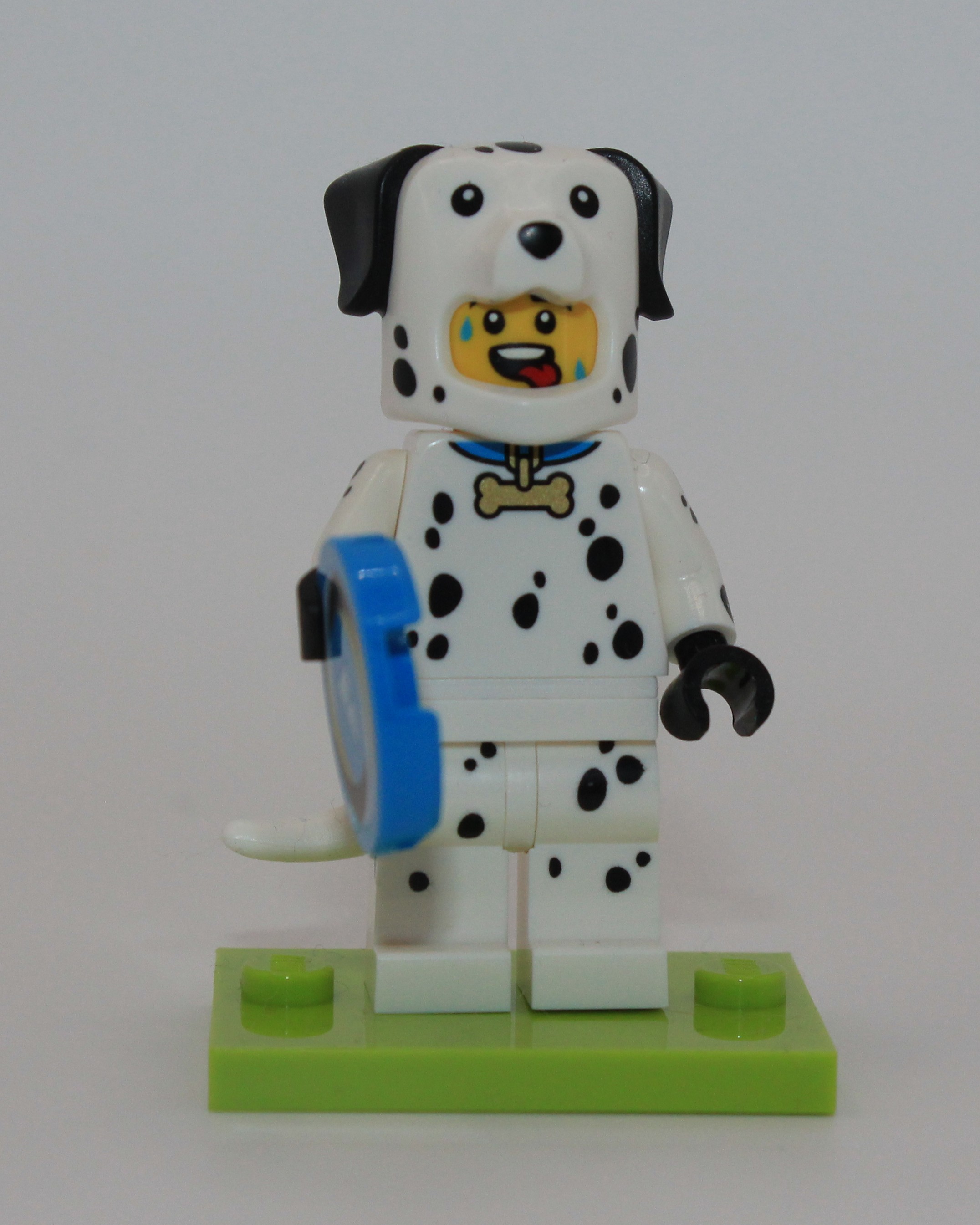 Dalmatian Suit, front
