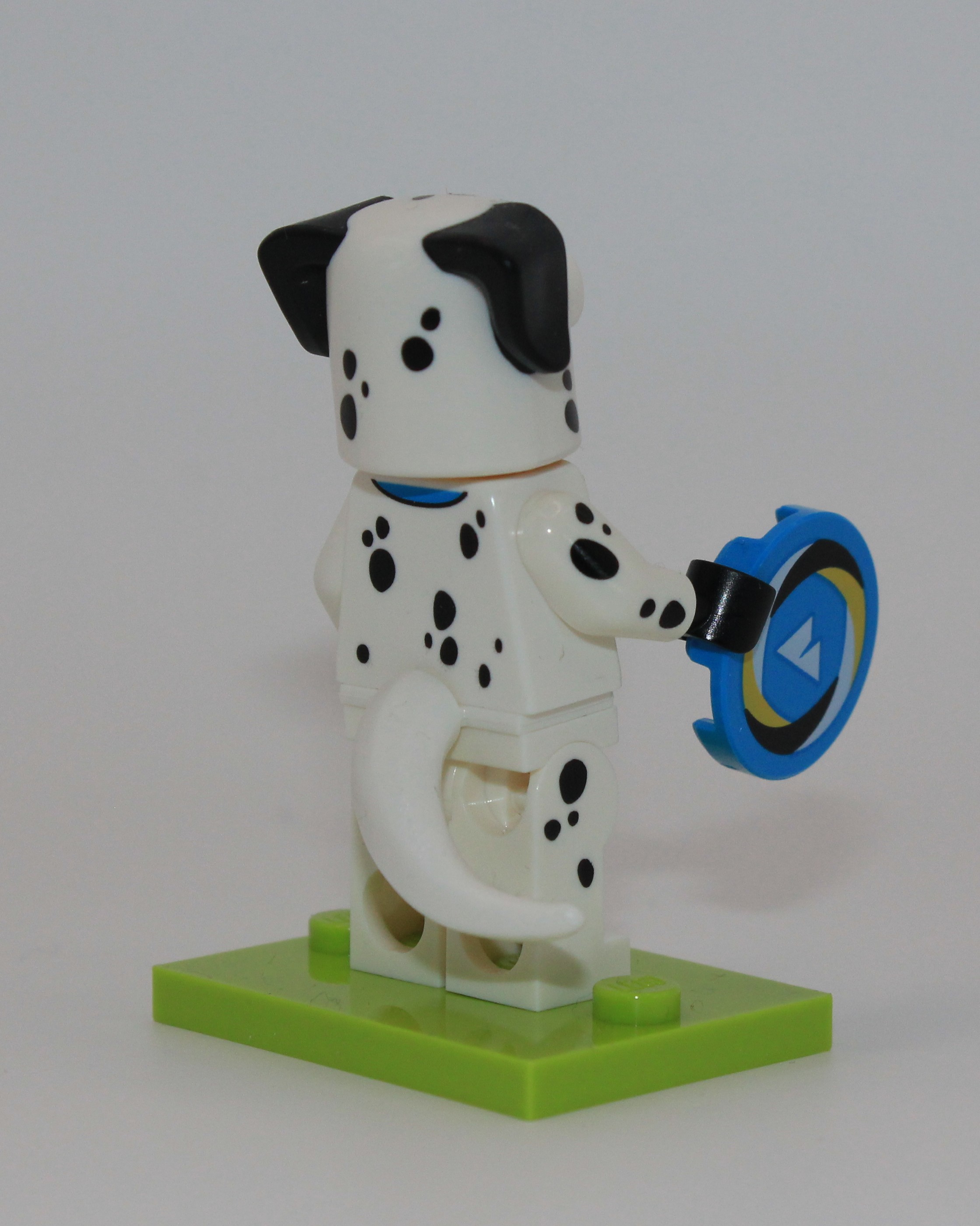 Dalmatian Suit, back