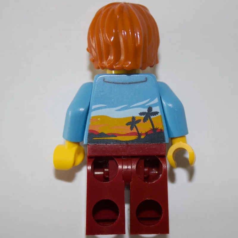 Medium Blue Torso, Dark Red Legs, Dark Orange Hair