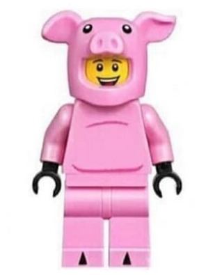 Man, Pig Costume