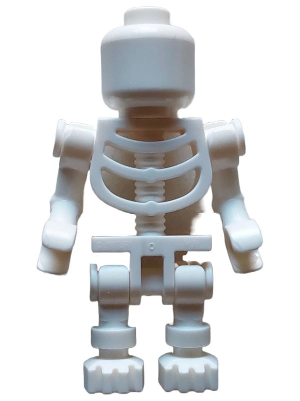 Skeleton, Plain Head