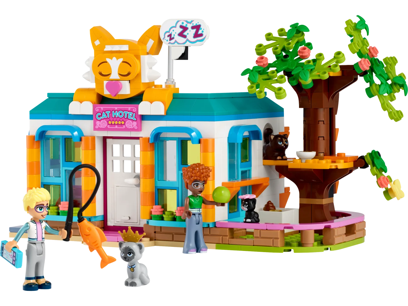 Cat Hotel