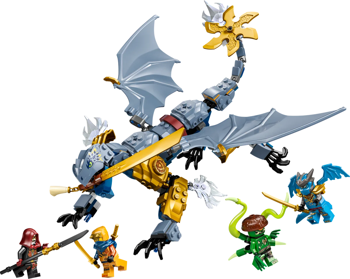 Ninja Dragon Riyu's Battle